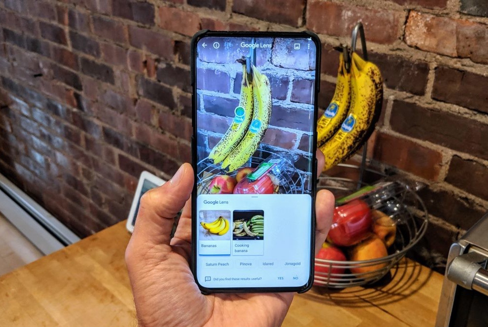 Cập nhật mới của Google Lens mang tới nhiều tính năng hữu dụng